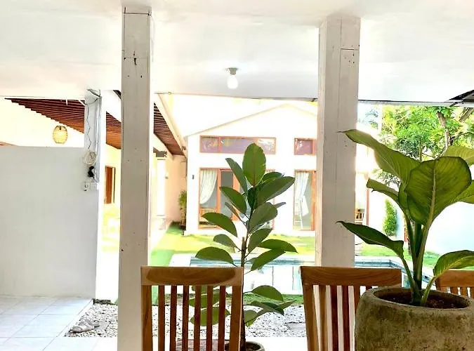 Mimosas Bali Canggu